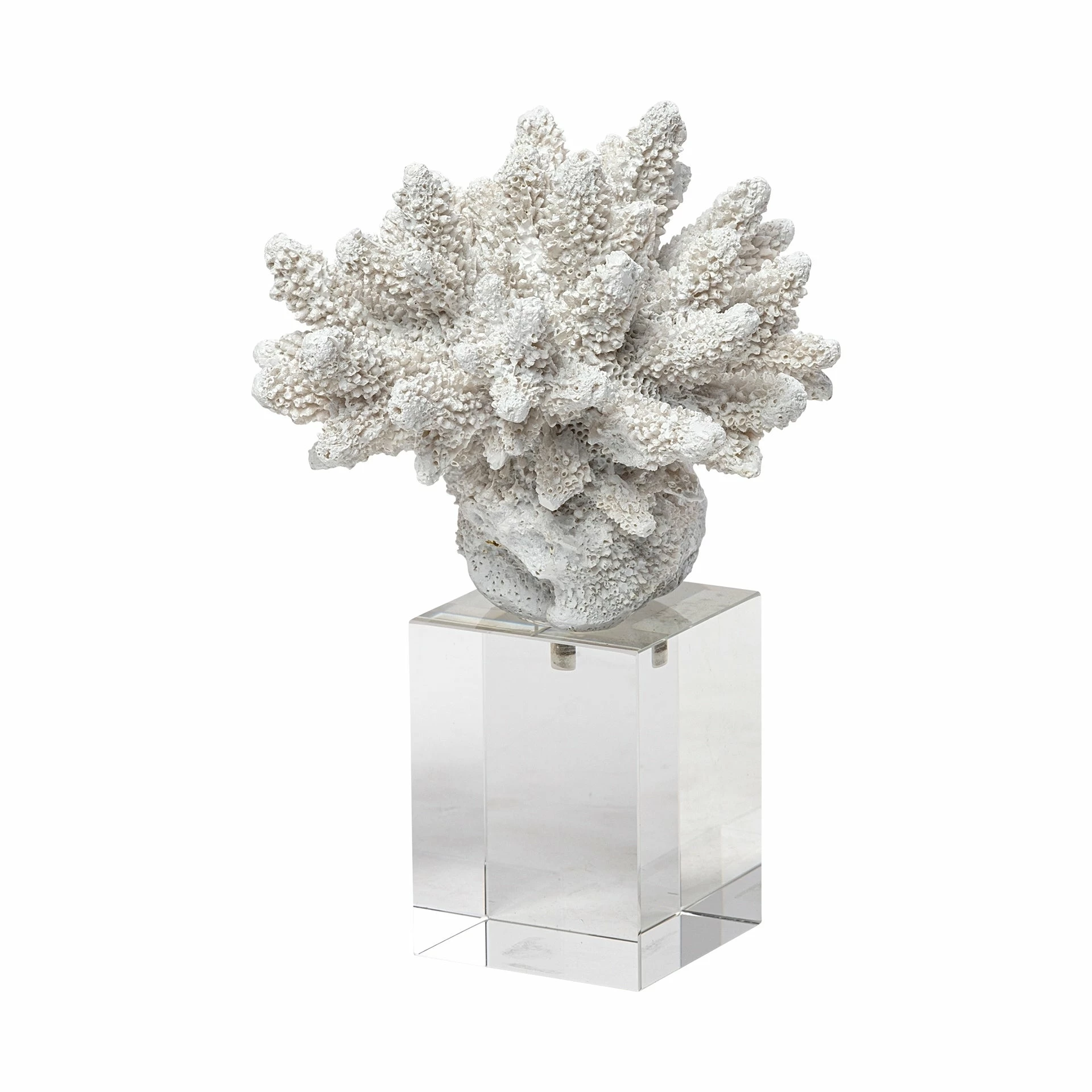 Discount ✨ Mercana Isla (Large) 5L X 5W White Replica Resin Coral On Clear White Glass ✔️ - Image 9