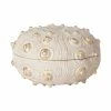 Outlet 🌟 Mercana Moselle II Cream Sea Urchin Storage Box - 6.3"W X 6.3"D X 4"H 🥰