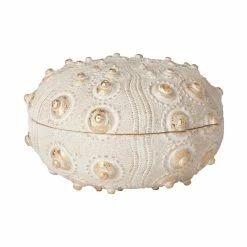 Outlet 🌟 Mercana Moselle II Cream Sea Urchin Storage Box - 6.3"W X 6.3"D X 4"H 🥰